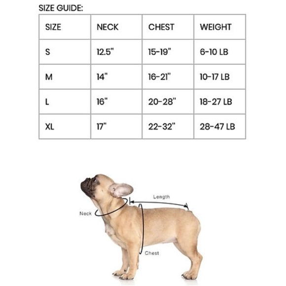 PETsRUS Premium No Pull Dog Harness 2 Leash Clips Purple Lavender Neoprene - Picture 3 of 9